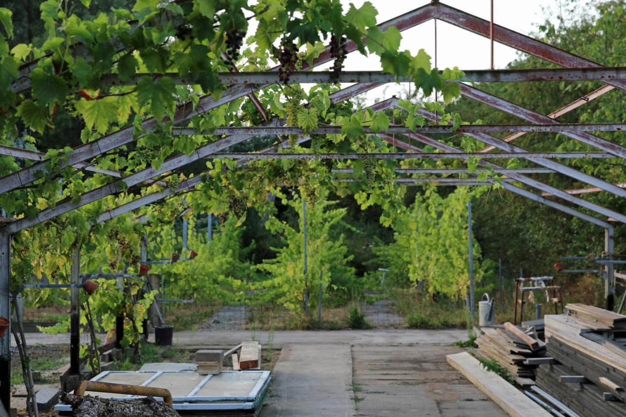 Natuurlijk Genieten Bemmel المظهر الخارجي الصورة